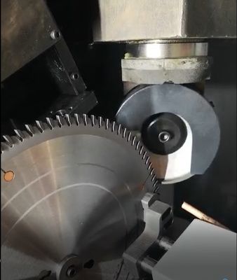 Μεγάλη ακρίβεια TCT Torsel Automatic Blade Grinding Machine